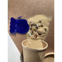 Zoek en ontdek klein- edelstenen & fossielen