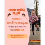 Hobbyhorse wedstrijd 19 december wintermarkt Goor