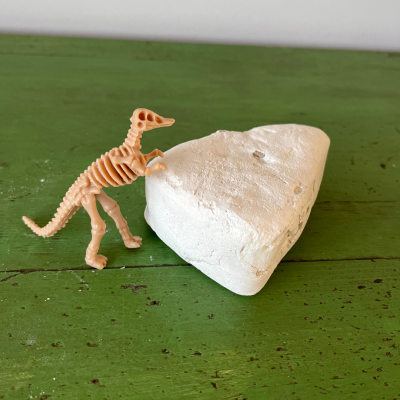 Dig-it steen dino skelet